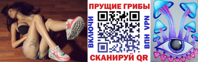 Купить  Липки  Псилоцибиновые грибы MAGIC MUSHROOMS 
