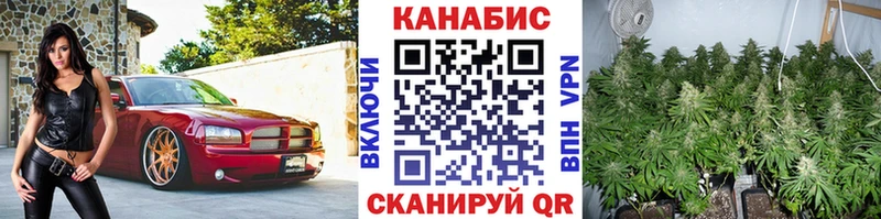 Каннабис MAZAR  Купить где  Липки 